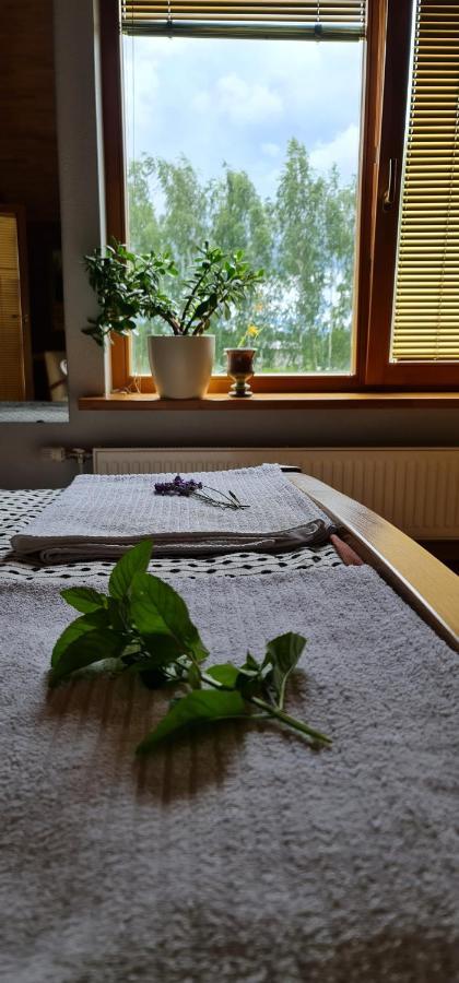 Spacious House With Indoor Pool & Sauna. Ādaži Eksteriør billede